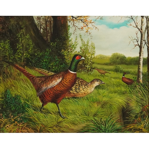 538 - A Ogden - Pheasants in a landscape, 19th century style oil on wood panel, mounted and framed, 29cm x... 