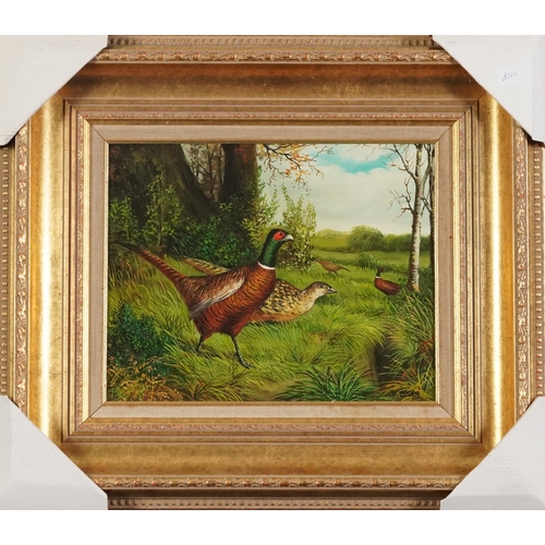 538 - A Ogden - Pheasants in a landscape, 19th century style oil on wood panel, mounted and framed, 29cm x... 