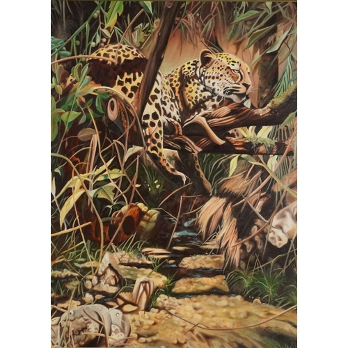 1388 - Jay A Ray - Leopard resting in a tree, oil on canvas board, mounted and framed, 78.5cm x 58.5cm excl... 