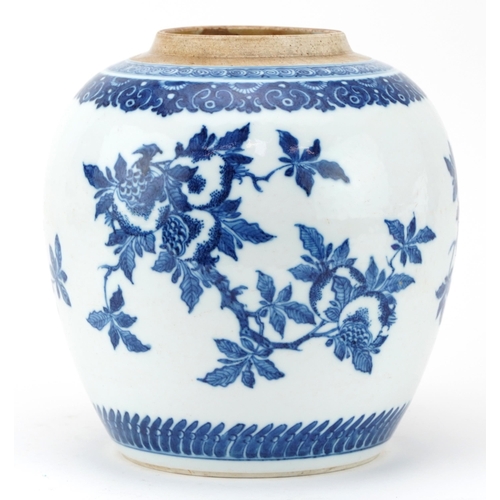 459 - Chinese blue and white porcelain ginger jar hand painted with fruit and flowers, 19cm high