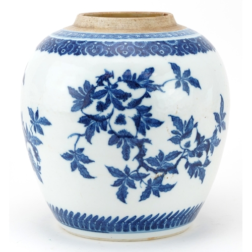 459 - Chinese blue and white porcelain ginger jar hand painted with fruit and flowers, 19cm high