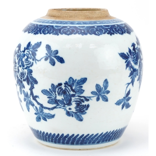 459 - Chinese blue and white porcelain ginger jar hand painted with fruit and flowers, 19cm high