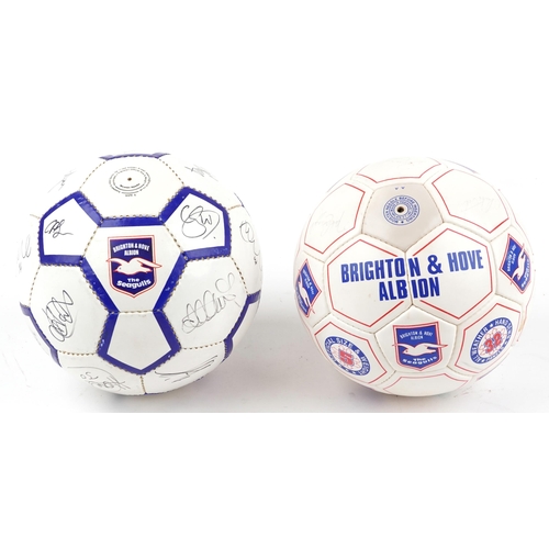 1287 - Two footballing interest Brighton & Hove Albion footballs signed with ink signatures