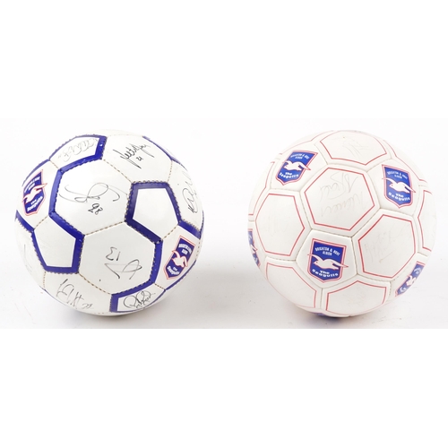 1287 - Two footballing interest Brighton & Hove Albion footballs signed with ink signatures