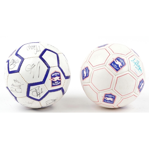 1287 - Two footballing interest Brighton & Hove Albion footballs signed with ink signatures