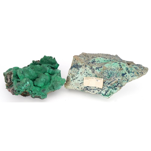 251 - Two large geology interest natural history green malachite specimens, the largest 28cm wide