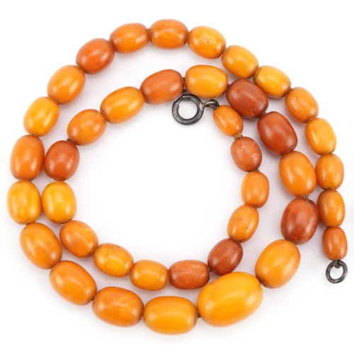 2008 - Two butterscotch amber coloured bead necklaces, one with white metal chain, the largest 46cm in leng... 