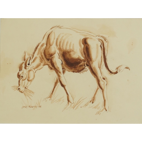 3055 - James Woodford RA - Study of a donkey, sepia watercolour, label verso, mounted, framed and glazed, 3... 