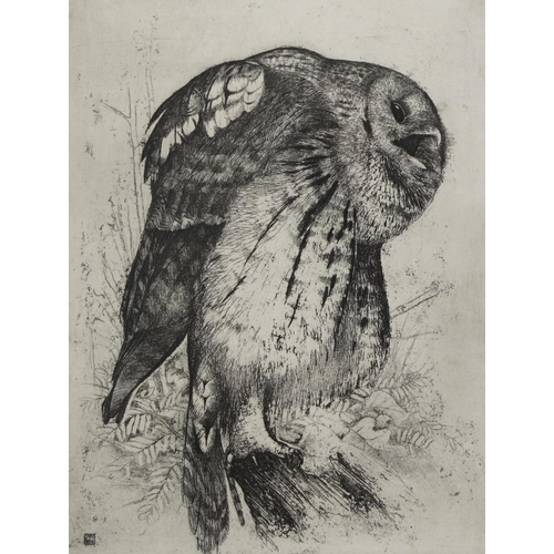 3060 - Timothy J Greenwood - Study of an owl, pencil signed print, limited edition 22/50, mounted, framed a... 
