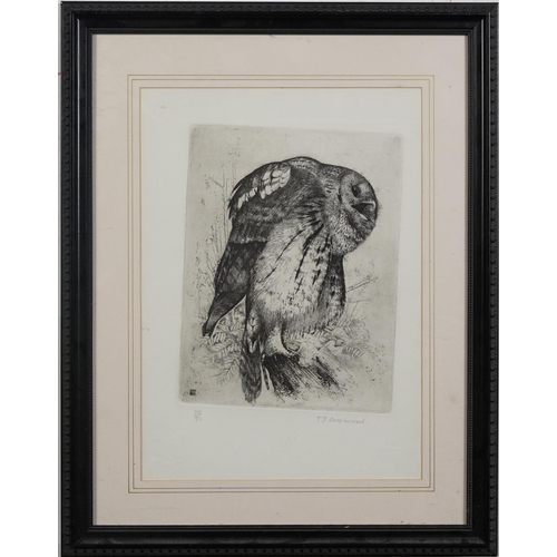 3060 - Timothy J Greenwood - Study of an owl, pencil signed print, limited edition 22/50, mounted, framed a... 