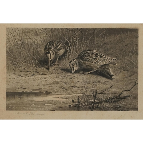 3121 - Archibald Thorburn - Birds and ducks before landscapes, six pencil signed prints in colour, three mo... 