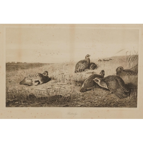 3121 - Archibald Thorburn - Birds and ducks before landscapes, six pencil signed prints in colour, three mo... 