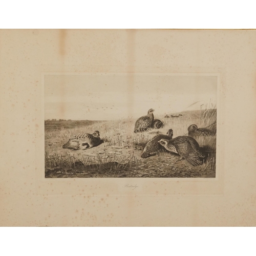 3121 - Archibald Thorburn - Birds and ducks before landscapes, six pencil signed prints in colour, three mo... 