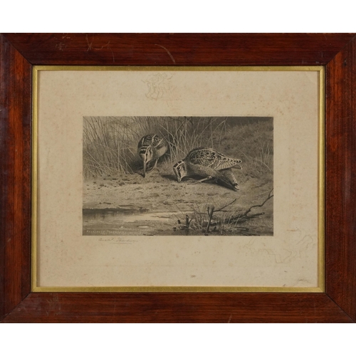 3121 - Archibald Thorburn - Birds and ducks before landscapes, six pencil signed prints in colour, three mo... 