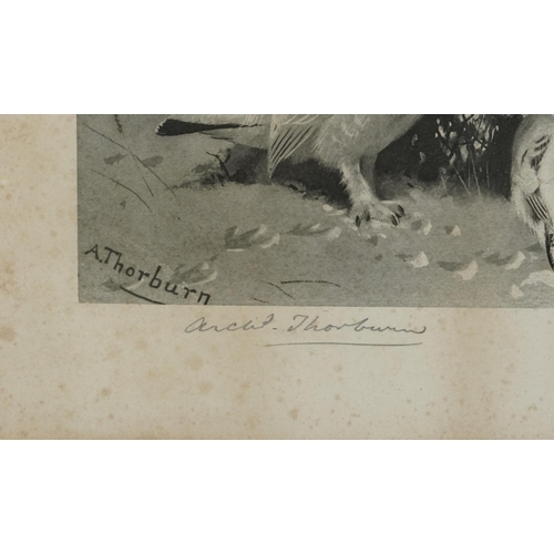 3121 - Archibald Thorburn - Birds and ducks before landscapes, six pencil signed prints in colour, three mo... 