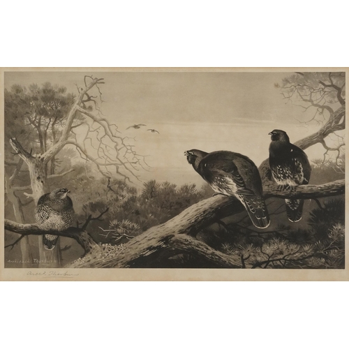 3121 - Archibald Thorburn - Birds and ducks before landscapes, six pencil signed prints in colour, three mo... 