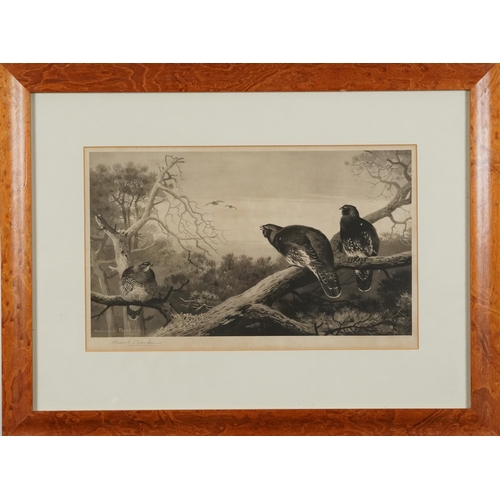 3121 - Archibald Thorburn - Birds and ducks before landscapes, six pencil signed prints in colour, three mo... 