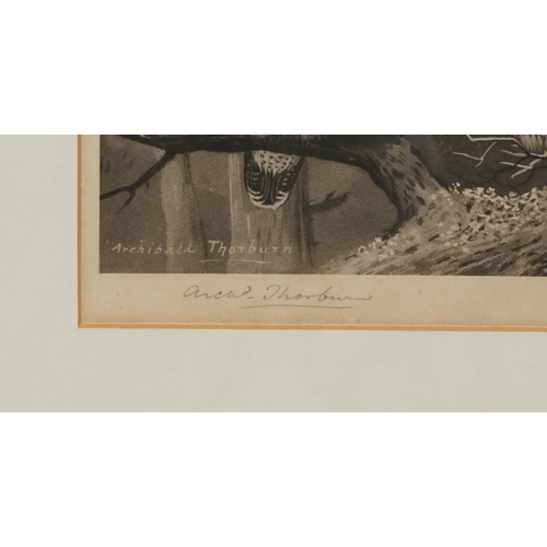 3121 - Archibald Thorburn - Birds and ducks before landscapes, six pencil signed prints in colour, three mo... 