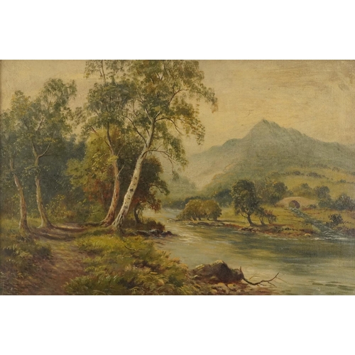 3186 - River landscape with woodland and bridge, 19th century oil, indistinctly monogrammed, possibly F P, ... 