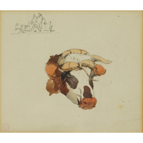 3070 - Edward Duncan - Study of an ox head, 19th century watercolour with studio watermark, inscribed verso... 