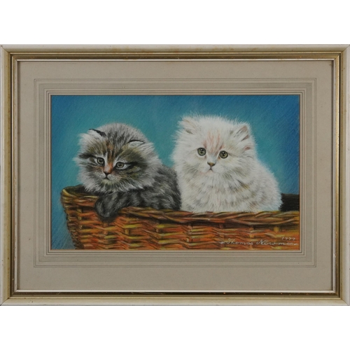 3033 - Thomas Newman 1977 - Two kittens in a basket, pastel, mounted, framed and glazed, 36cm x 23cm exclud... 