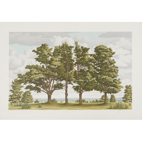 3234 - D P Brown - Rural landscape, pencil signed print in colour numbered 6/50, unframed, 74cm x 50.5cm