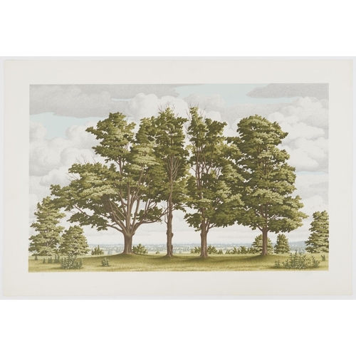 3234 - D P Brown - Rural landscape, pencil signed print in colour numbered 6/50, unframed, 74cm x 50.5cm