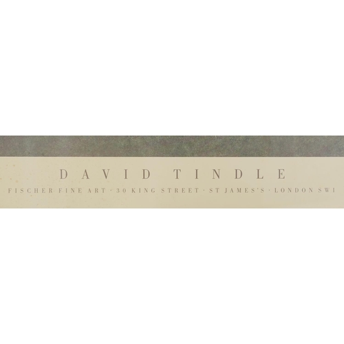 3233 - Four David Tindle Fischer Fine Art art posters published by The Poster Shop, each 72cm x 62cm