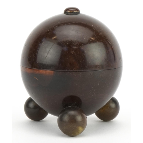 404 - Victorian rosewood spherical string box on four brass ball feet, 9.5cm high