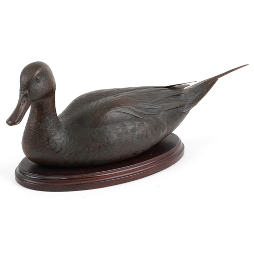 Valentine Bennett, large contemporary patinated bronze Pintail duck raised on an oval mahogany base, inscribed label to the base, 40.5cm in length