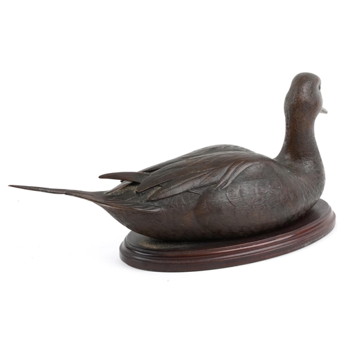 32 - Valentine Bennett, large contemporary patinated bronze Pintail duck raised on an oval mahogany base,... 