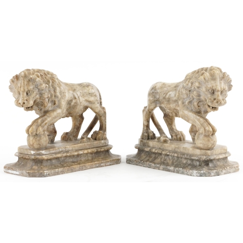 581 - Pair of Grand Tour carved alabaster lions, each 24.5cm in length