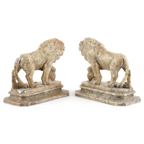 581 - Pair of Grand Tour carved alabaster lions, each 24.5cm in length