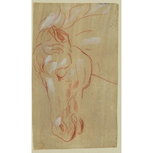 342 - Attributed to Giovanni Battista Cipriani - Study of a horse head, Italian Old Master heightened sang... 