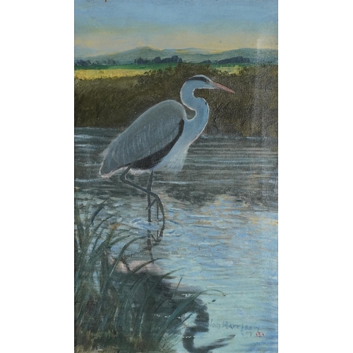 2321 - Ian Harrison - Heron on water, oil on canvas, framed, 50cm x 29cm excluding the frame