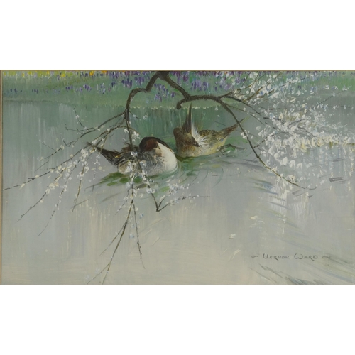 537 - Vernon Ward - Two ducks on water, impasto oil, with receipt and Beckstones Gallery label verso, moun... 