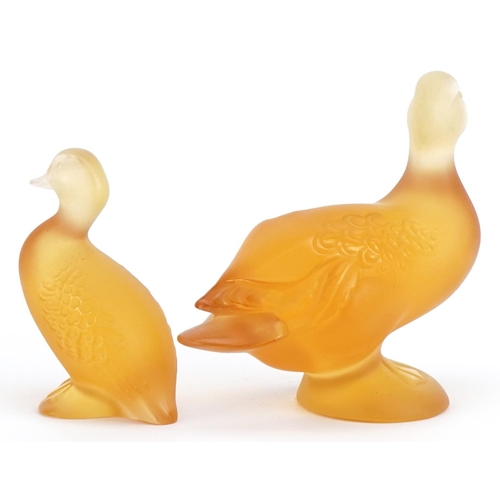 87 - Lalique, two French frosted orange glass duck paperweights, one with paper label, each etched Laliqu... 