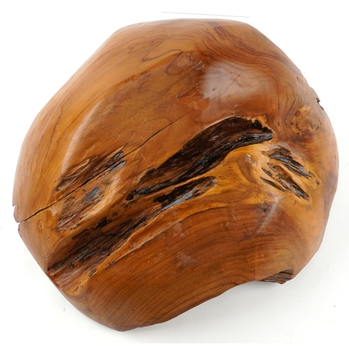 2538 - Mid century style teak root wood centre bowl, 50cm wide