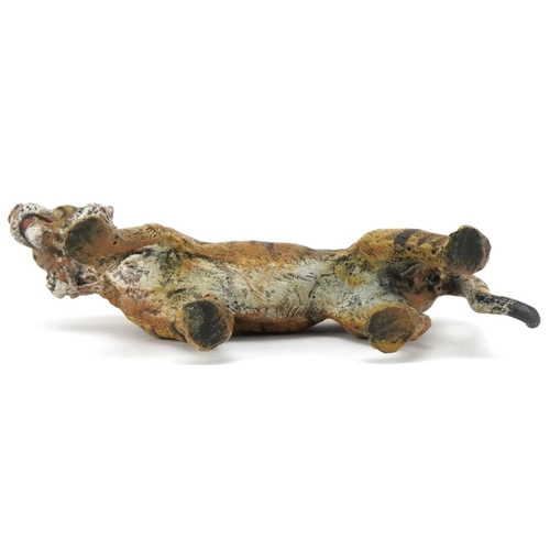 2338 - Manner of Franz Xaver Bergmann, cold painted bronze tiger, 12cm in length