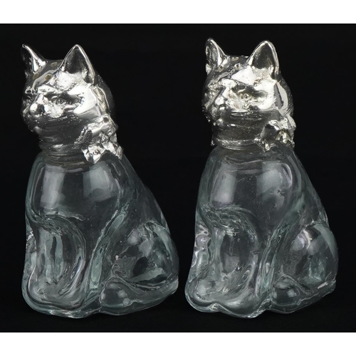 2475 - Pair of novelty glass salt and pepper casters with silver plated heads in the form of cats, 7cm high