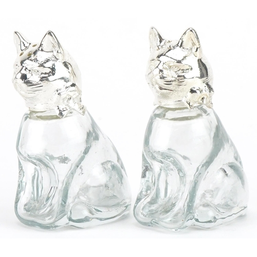 2475 - Pair of novelty glass salt and pepper casters with silver plated heads in the form of cats, 7cm high