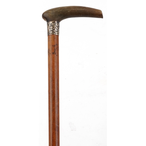 662 - Malacca walking stick with horn handle and engraved silver collar, the handle possibly rhinoceros ho... 