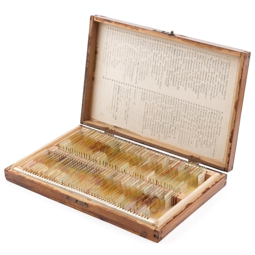 359 - Collection of early 20th century scientific interest microscope prepared glass slides housed in a fi... 