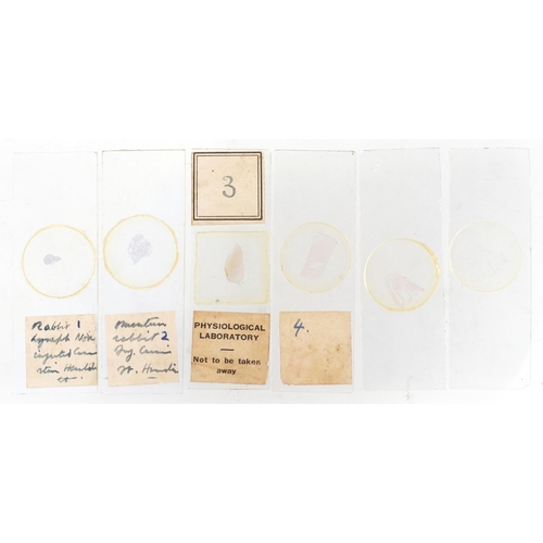 359 - Collection of early 20th century scientific interest microscope prepared glass slides housed in a fi... 