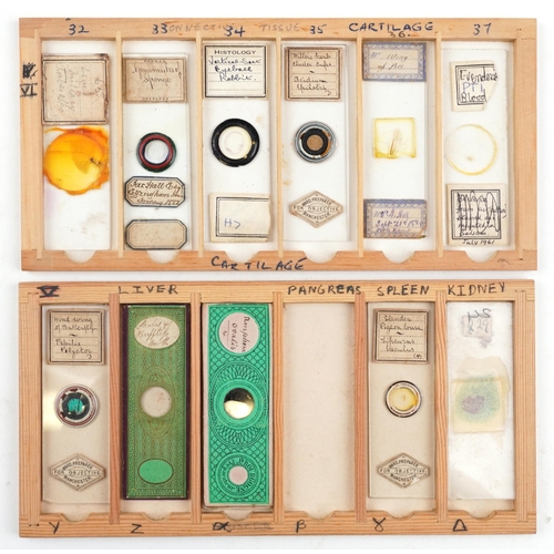 357 - 19th century and later scientific interest microscope prepared glass slides housed in a pine case wi... 