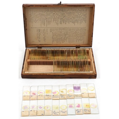 359 - Collection of early 20th century scientific interest microscope prepared glass slides housed in a fi... 