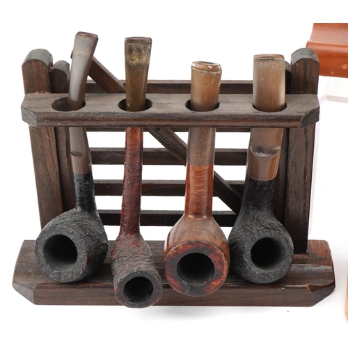 1273 - Nineteen vintage briar tobacco smoking pipes, some Italian, arranged in four pipe racks, three in th... 