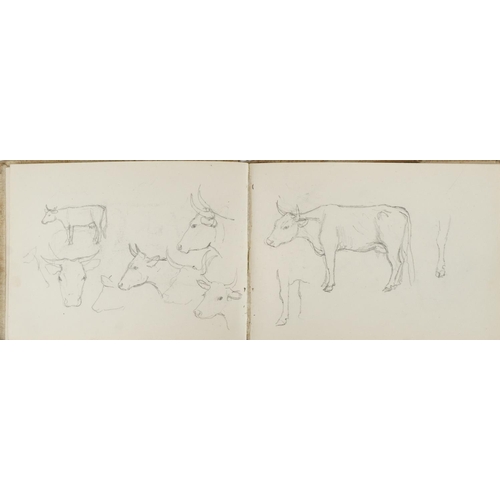 1665 - Four early 20th century sketchbooks housing various pencil sketches including animals and life drawi... 