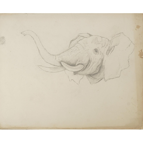 1665 - Four early 20th century sketchbooks housing various pencil sketches including animals and life drawi... 