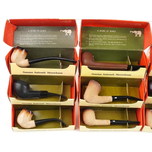 1315 - Twelve Tanganyika Meerschaum tobacco smoking pipes with boxes by Amboseli